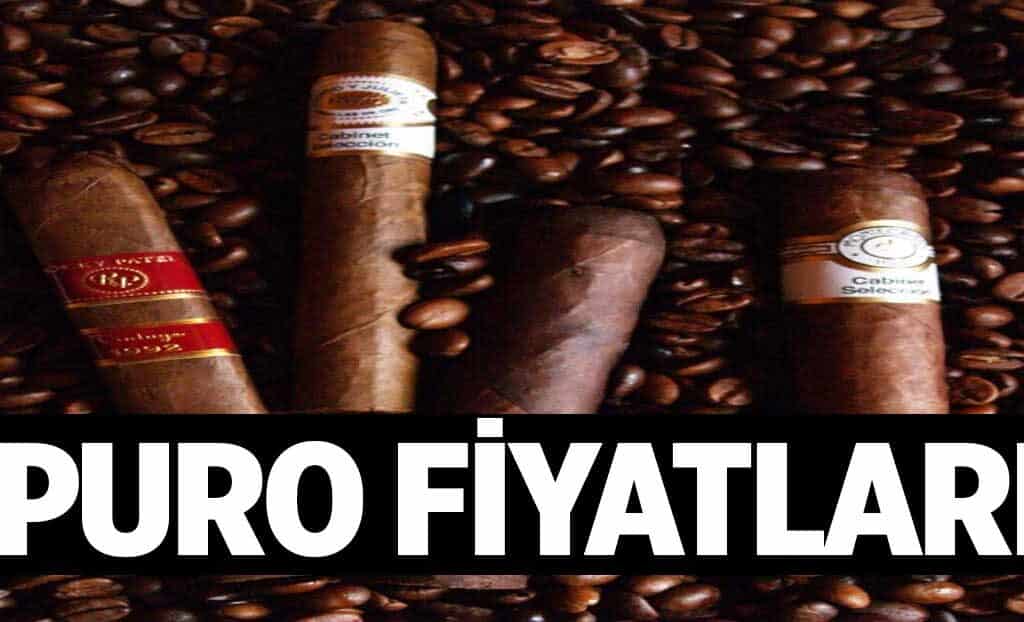 Puro Fiyatlari 1024x622DTw.jpg
