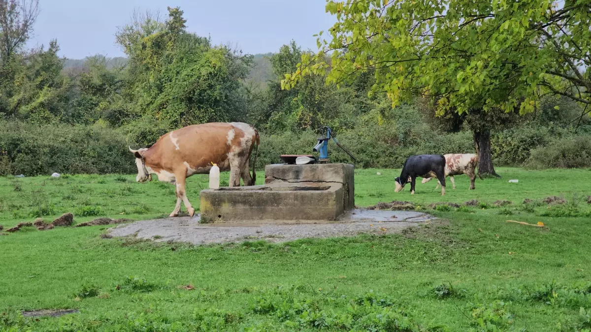 Çaycuma’da Su Kuyusunda Kadın Cesedi Bulundu