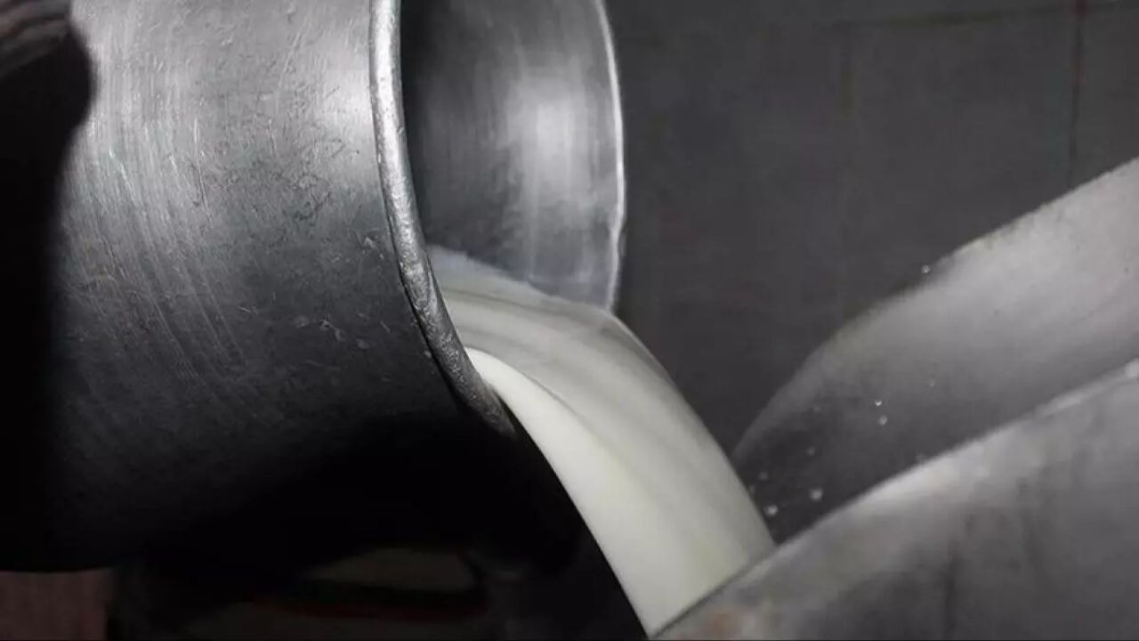 cig sute yeni yag orani duzenlemesi resmi gazetede yayimlandi ZcYJr234.webp