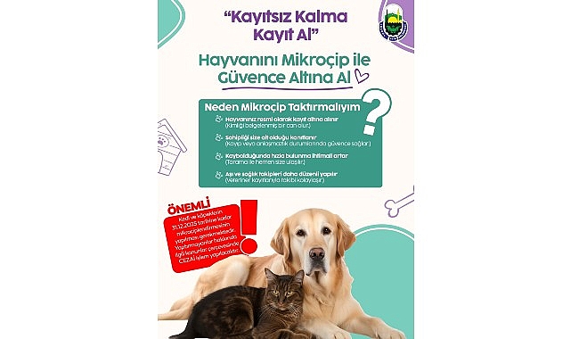 inegol belediyesinden evinde kedi kopek besleyenlere mikrocip uyarisi xyvLcNaB.jpg